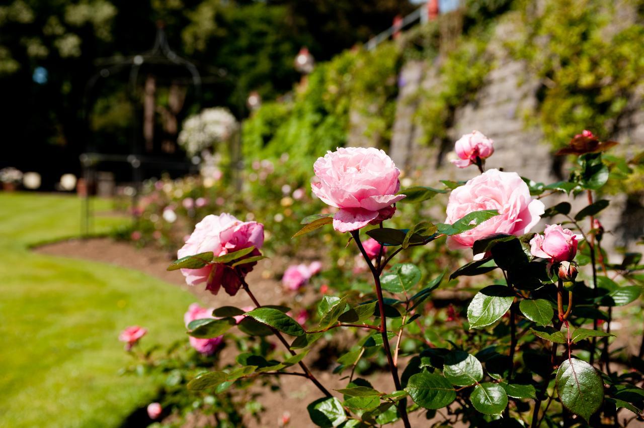 Miskin Manor Hotel Hensol Bagian luar foto